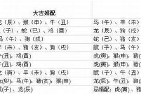 97年属牛|97年的牛是什么命 97年的牛五行属什么